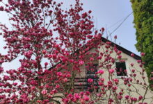 Frédi Vendégház Bogács 