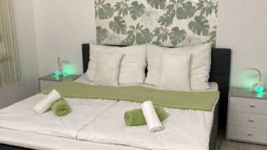 Frézia Apartman Makó 