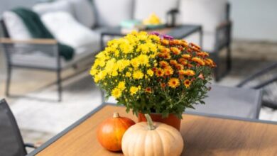 Frizzante Vendégház Badacsonytomaj 