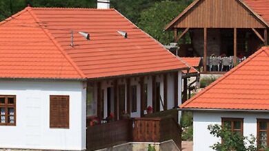 Fruktárium Vendégház Trizs 