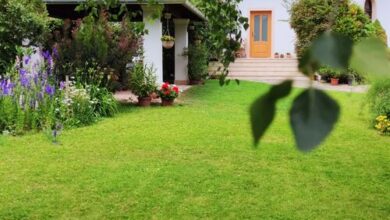 Frutta Villa Cserszegtomaj 