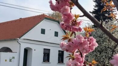 Fűszeres Porta Mihályfa 