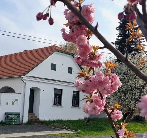 Fűszeres Porta Mihályfa 