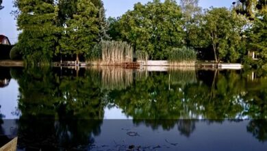 Füzesem Apartman Békésszentandrás 