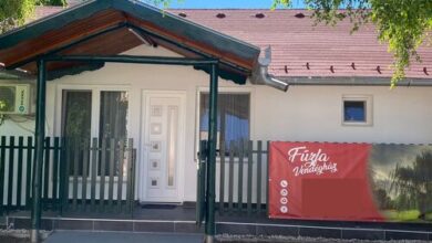 Fűzfa Vendégház Göd 