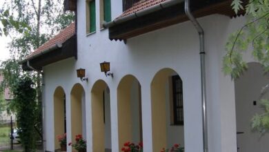 Fűzfa Vendégház Sarud 