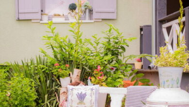 GITTA35 Vendégház  Zalakaros***  