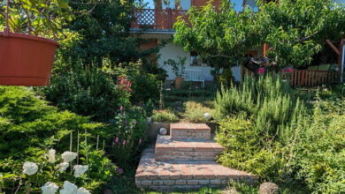 Gabi Háza Balatonalmádi 