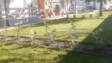 Gabriella Panzió Bükfürdő 