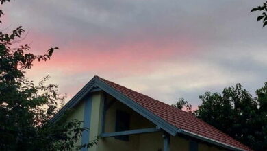 Galagonya Kerti Lak Bogyoszló 