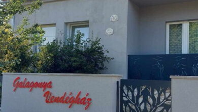 Galagonya Vendégház Bogyoszló 