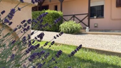 Galiba Vendégház Jenő 