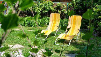 Garden Apartman Siófok 