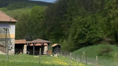 Gemini Vendégház Répáshuta 