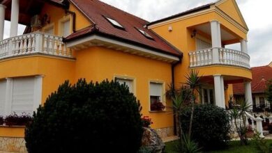 Georgina Apartman Harkány 