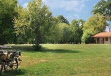 Gergely Tanya Garabonc 