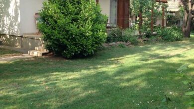 Gica Apartman Balatonlelle 