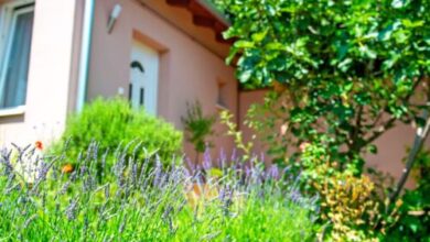 Ginkgo Vendégház Pécs 