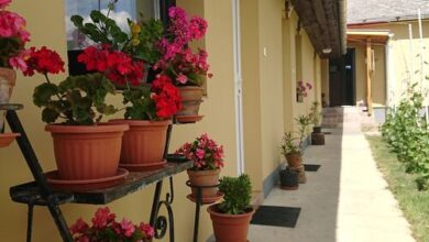 Gőgő Parti BM Tanya Nagyszekeres 