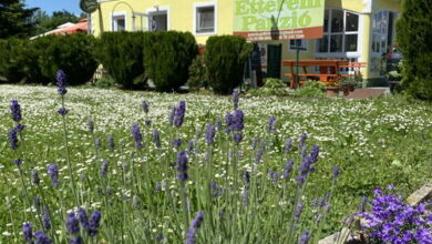 Golf Panzió és Étterem Kaposvár 