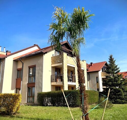 Golf Villa Apartman Bükfürdő 