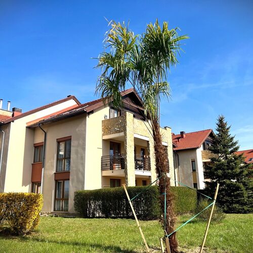 Golf Villa Apartman Bükfürdő
