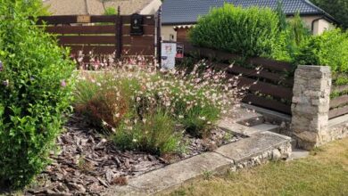 Gombás Vendégház Bakonyszentkirály 