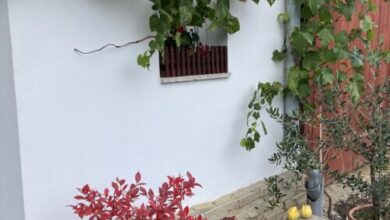 Gulya Vendégház Zalalövő 