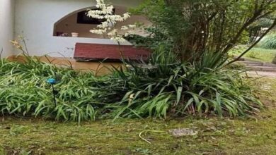 Gyöngy Vendégház Szalafő 