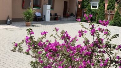 Gyöngy-Virág Vendégház Szeged 