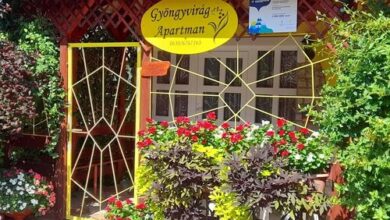 Gyöngyvirág Apartman Romhány 