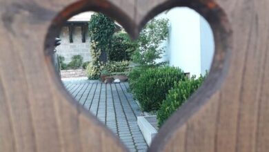 Gyöngyvirág Vendégház Visegrád 