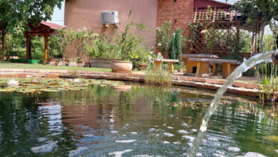 Gyopihi Vendégház Orosháza-Gyopárosfürdő 