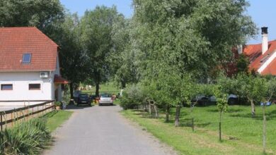 Gyulavezér Lovasbirodalma Panzió Gyulakeszi 