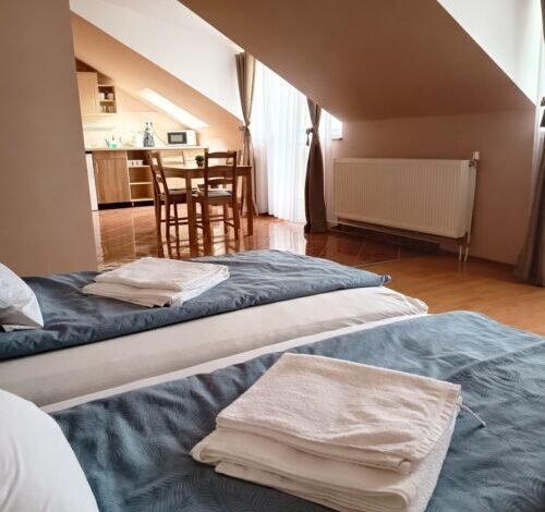 Hajdúböszörményi Gyógyapartman Hajdúböszörmény  