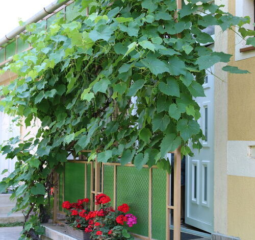 Hajnalka Apartmanház Gyula 