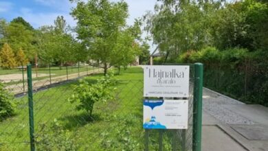 Hajnalka Nyaraló Békésszentandrás 