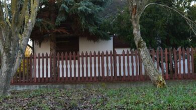 Halászsas PihenőPorta Sarud 