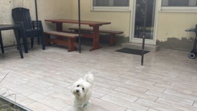 Happy House Zamárdi  