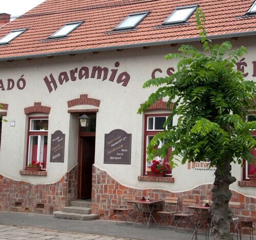 Haramia Csapszék és Fogadó Szombathely 