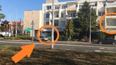 Harangláb Apartman Tata 