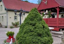 Harangláb Vendégház Egerszalók 