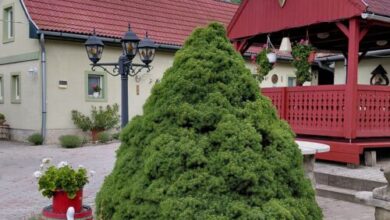 Harangláb Vendégház Egerszalók 