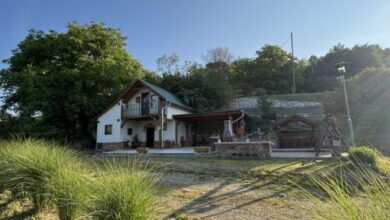 Harica Pince és Vendégház Kondó 