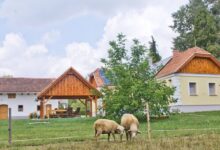 Harmatcsepp Vendégház Kercaszomor 