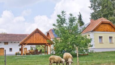 Harmatcsepp Vendégház Kercaszomor 