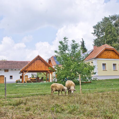 Harmatcsepp Vendégház Kercaszomor