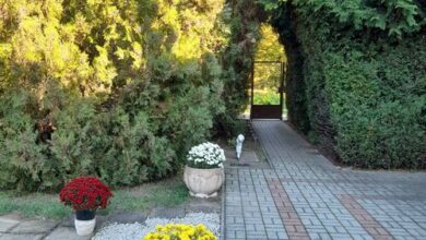 Harmónia Ház Makó 