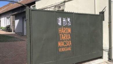 Három Tarka Macska Apartmanok Sárospatak 