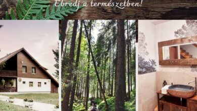 Hársas Vadászház Somogytúr 